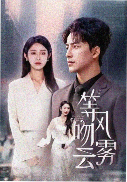 归港 年代群像电视剧海报
